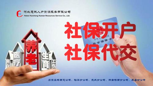 代理記賬與社保代理的完美結合 為您的進出口業務提供便捷可靠的支持